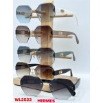 Glasses WL2522 Hermes
