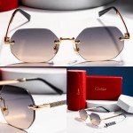 Glasses 6 68057 (1) Cartier