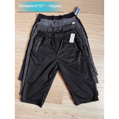 Бриджі чоловічі Nikolay 6757 микс 46-56