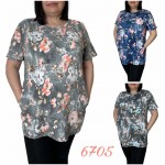 Nikolay 6705 (1) микс 50-60