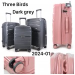 Birds 2024-01 темно-серый THREE BIRDS тройка с расширением