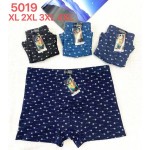 Ульви 5019 XL-4XL