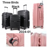 Birds 2024-01 черный THREE BIRDS тройка с расширением