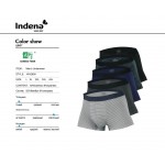 INDENA WH2609