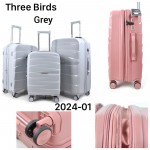 Birds 2024-01 серый THREE BIRDS тройка с расширением
