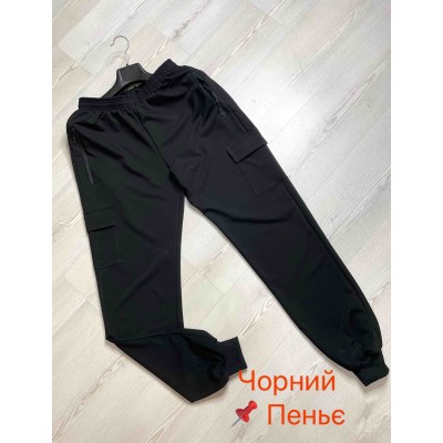 Штани спорт чоловічі Nikolay 310326 (14) черный 46-54