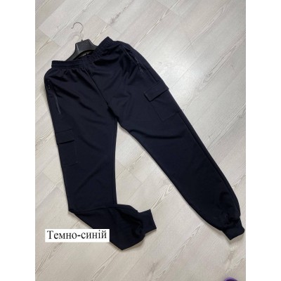 Штани спорт чоловічі Nikolay 310326 (15) темно-синий 46-54
